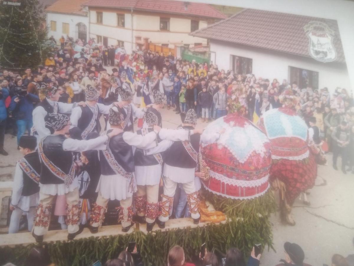 Pensiunea Casa Roman Tălmaciu Εξωτερικό φωτογραφία